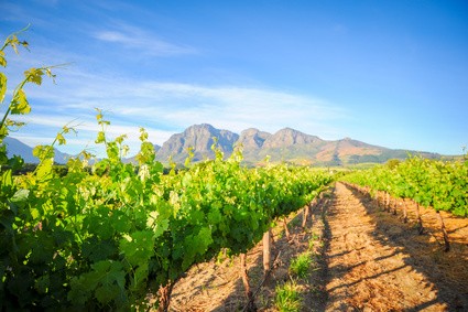 Übersee Weinprobe am 28. März 2025 - Eintrittskarte